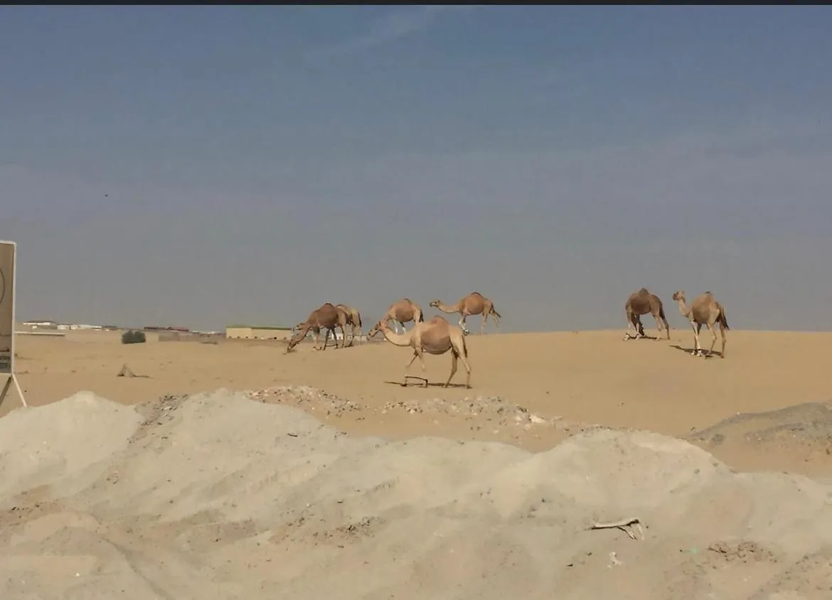 دماك هيلز 2 0*, 迪拜 阿拉伯联合酋长国